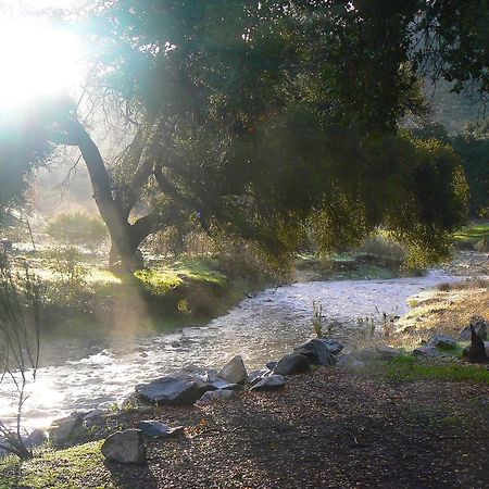 Pio Pico Camping Resort Studio Cabin 10 Jamul Dış mekan fotoğraf